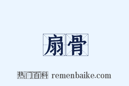 扇骨是什么意思的图片
